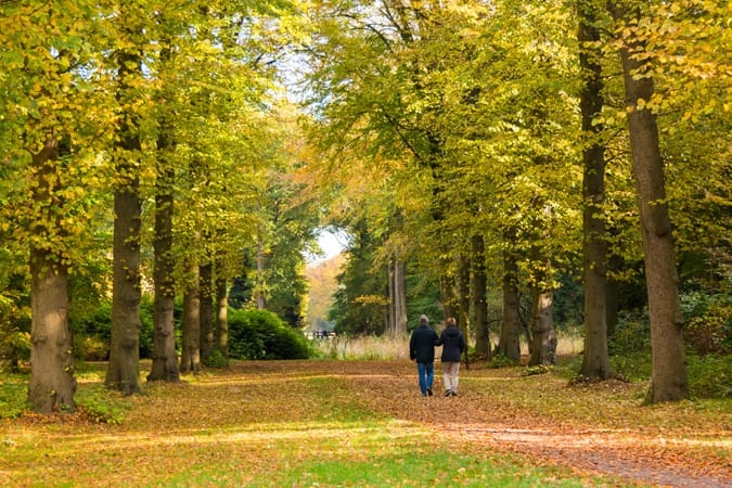 Trunk bibliotek styrte farve Top Walks in the Midlands and Central England | Great Little Breaks